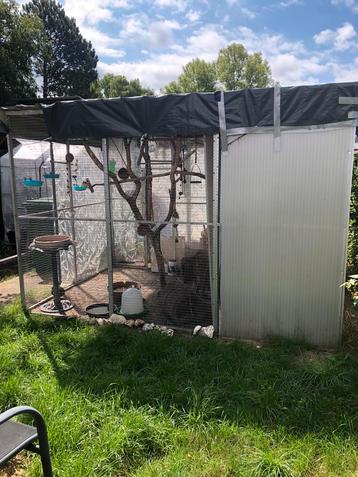 Aluminium Volière 3x 3 ( 21panelen) beschikbaar voor biedingen