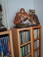 Uilenbeeld -  Uilen op Tak, Ophalen