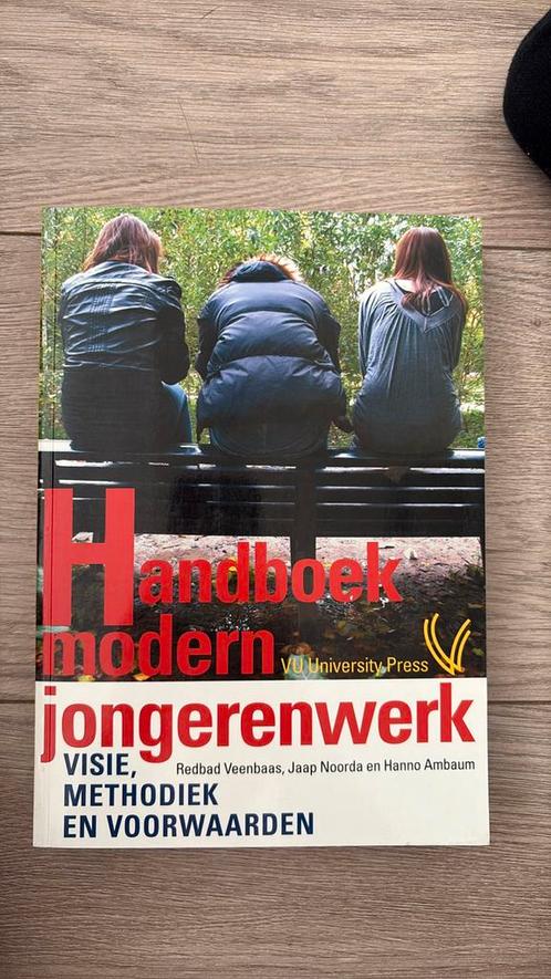 Redbad Veenbaas - Handboek modern jongerenwerk, Boeken, Wetenschap, Zo goed als nieuw, Ophalen of Verzenden