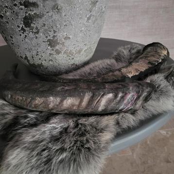 Grote Horens met Bontje - Decoratief beschikbaar voor biedingen