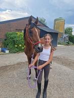 Betrouwbare Bijrijdster/Leaser Aangeboden, Dieren en Toebehoren, Paarden en Pony's | Verzorgingsproducten, Ophalen of Verzenden