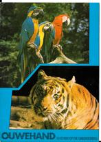 Ansichtkaart	Rhenen	Ouwehands Dierenpark	2-luik, Verzamelen, Verzenden, 1980 tot heden, Gelopen, Utrecht