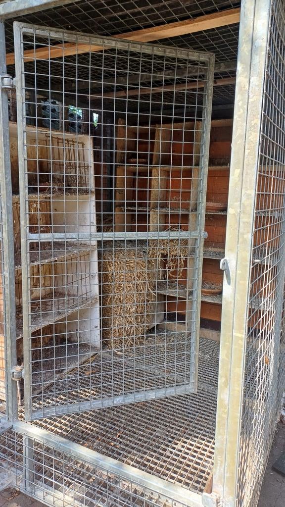 Duivenkooi, Dieren en Toebehoren, Vogels | Hokken en Kooien, Ophalen, Vogelkooi