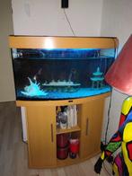 Aquarium met toebehoren te koop, Dieren en Toebehoren, Gebruikt, Ophalen, Gevuld zoetwateraquarium