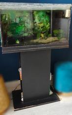 GRATIS 60L Juwel Werkend Aquarium incl. pro-Verwarmer, Dieren en Toebehoren, Ophalen, Gebruikt, Leeg aquarium