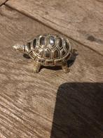 Schildpad doosje - Pillendoosje of juwelendoosje, Overige materialen, Ophalen of Verzenden, Dame of Heer, Goud