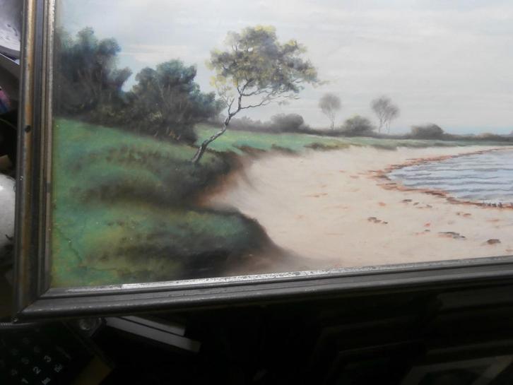 Leuk schilderijtje Meertje met bebossing erlangs, Antiek en Kunst, Kunst | Schilderijen | Klassiek, Ophalen