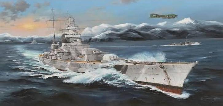 Modelbouw oorlogschip Trumpeter Hood,Bismarck,Karel Doorman, Hobby en Vrije tijd, Modelbouw | Boten en Schepen, Gebruikt, 1:200 of kleiner