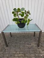 Bijzettafel tuintafel roestvrijstaal glas glazen sidetable, Ophalen, Gebruikt, 50 tot 100 cm, Glas