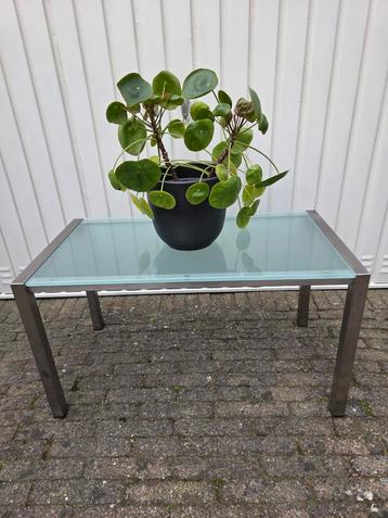 Bijzettafel tuintafel roestvrijstaal glas glazen sidetable beschikbaar voor biedingen