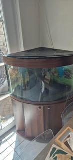 Aquarium juwel trigion, hoek aquarium 180 liter, Ophalen, Gebruikt, Leeg aquarium
