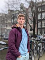 Bijles Wiskunde / Natuurkunde / Economie Amsterdam of online, Diensten en Vakmensen, Bijles, Privé-les en Taalles, Bijles