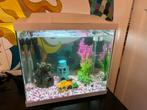 Tropisch Acquarium met toebehoren en 6 vissen, Dieren en Toebehoren, Vissen | Aquaria en Toebehoren, Ophalen, Zo goed als nieuw