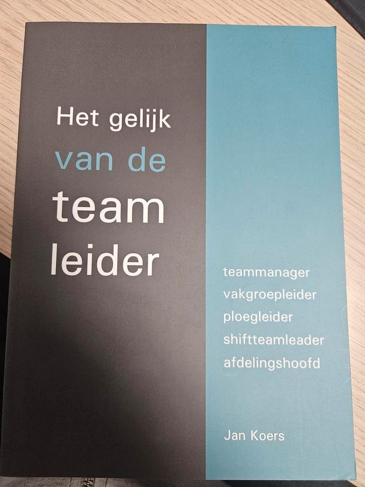 Het gelijk van de teamleider - Jan Koers, Boeken, Informatica en Computer, Zo goed als nieuw, Vakgebied of Industrie, Verzenden