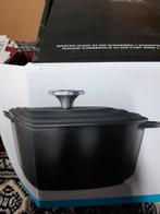 Vivo braadpan, Ophalen of Verzenden, Nieuw, Gietijzer, Koekenpan of Braadpan