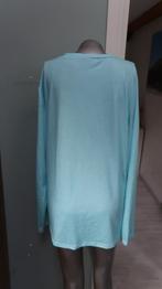 mooie nieuwe wijde blouse/sweater xxxl lichtblauw, Kleding | Dames, Ophalen of Verzenden, Nieuw, Blauw, Blouse of Tuniek