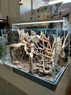 Volledig ingericht aquarium, Ophalen, Info@dierenwinkel-hetgroenewoud.nl, Superfish, Nieuw