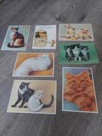 set vintage ansichtkaarten  katten/ poezen, Ophalen of Verzenden, 1960 tot 1980, Ongelopen, Hond of Kat