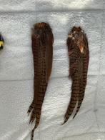Lange  patrijs veren , resp 40 en 48 cm, Ophalen of Verzenden, Gebruikt
