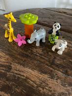 1 Duplo babydieren 10904, Ophalen of Verzenden, Zo goed als nieuw, Duplo