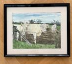 Aquarel Koeien in de Wei, Antiek en Kunst, Ophalen of Verzenden