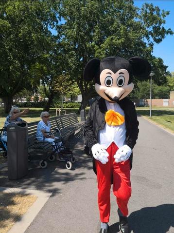 Mickey en Minnie kostuum te koop beschikbaar voor biedingen