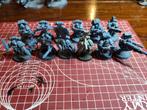 12 Space Wolves, Hobby en Vrije tijd, Wargaming, Ophalen of Verzenden, Zo goed als nieuw, Warhammer 40000, Figuurtje(s)
