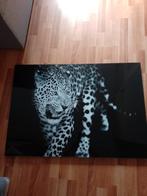 Glasschilderij nieuw, Ophalen, Zo goed als nieuw, Schilderij, Minder dan 50 cm