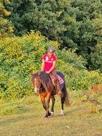 Stalhulp en verzorger aangeboden, Dieren en Toebehoren, Ophalen of Verzenden
