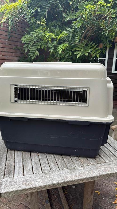 1.	Nieuwe IATA-goedgekeurde hondenkennel – nooit gebruikt, Dieren en Toebehoren, Hondenbenches, Nieuw, Ophalen of Verzenden