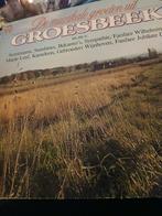 Lp.de muzikale groeten uit groesbeek, Ophalen of Verzenden, Zo goed als nieuw, Overige formaten, Levenslied of Smartlap