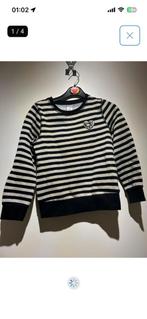 140 - Palomino trui zwart/goud gestreept izgst, Kinderen en Baby's, Kinderkleding | Maat 140, Ophalen of Verzenden, Gebruikt, Meisje