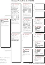 Prachtige doffer uit top lijnen., Mannelijk, Postduif