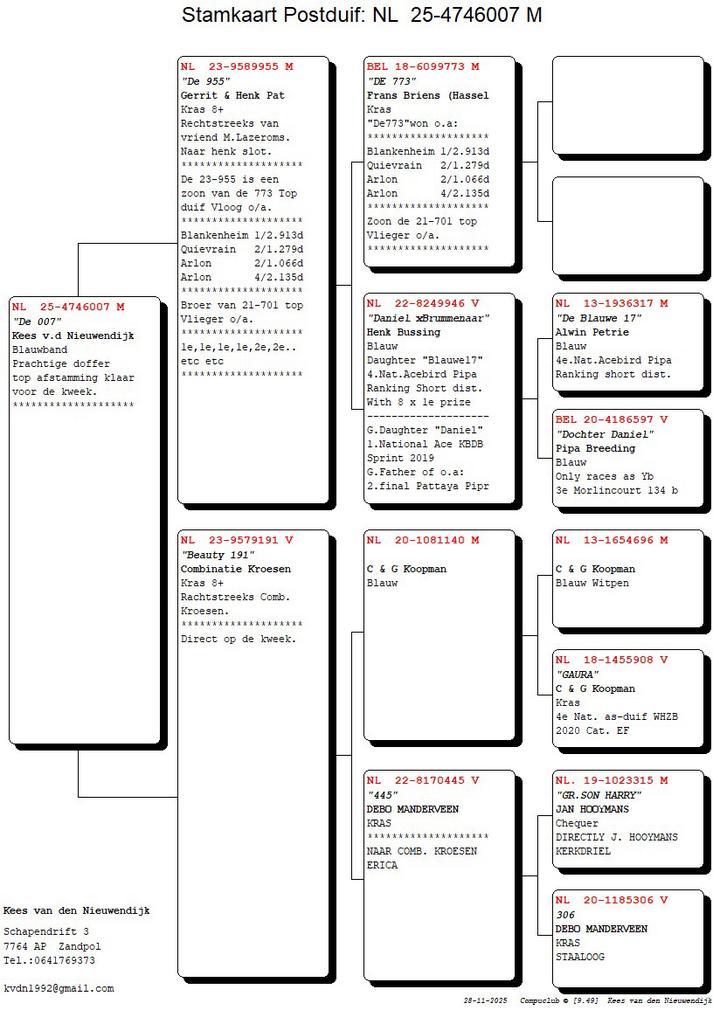 Prachtige doffer uit top lijnen., Dieren en Toebehoren, Vogels | Duiven, Postduif, Mannelijk
