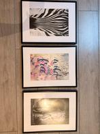 IKEA Fotolijsten Set van 3, Ophalen, Zo goed als nieuw, Foto of Poster, Minder dan 50 cm