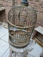 Antieke vogelkooi helemaal compleet!!!, Dieren en Toebehoren, Vogels | Hokken en Kooien, Ophalen of Verzenden, Zo goed als nieuw