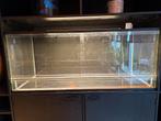 Terrarium 120x49x49, Dieren en Toebehoren, Reptielen en Amfibieën | Toebehoren, Ophalen, Zo goed als nieuw