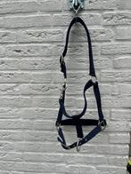 Pony halster blauw, Dieren en Toebehoren, Paarden en Pony's | Overige Paardenspullen, Ophalen of Verzenden, Nieuw, Overige soorten