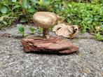 Bronzen afdruk van een mooie paddenstoel bronzen beeld, Ophalen of Verzenden