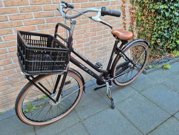 Gazelle Bella Rosa beschikbaar voor biedingen