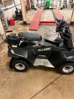 Ellwee Electrische Golfcar / invalide car, Sport en Fitness, Golf, Ophalen, Gebruikt, Golfkar