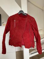 Rode suède zomerjas, maat S, Ophalen of Verzenden, Gedragen, Maat 36 (S), Rood