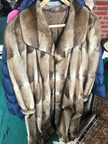 echte bontjas xl maat rook huisdieren vrij zie foto  beschikbaar voor biedingen