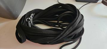 Lange lijnen paard beschikbaar voor biedingen