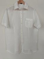 Witte Pulls blouse korte mouw 46, Pulls, Wit, Maat 46/48 (XL) of groter, Nieuw