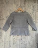 Vanilia Top Grijs Suedine Maat 42, Kleding | Dames, Blouses en Tunieken, Ophalen of Verzenden, Zo goed als nieuw, Maat 42/44 (L)