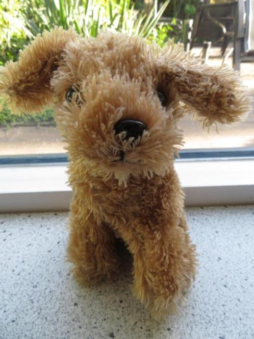 Hond hondje van Dierenbescherming Geef Dieren Bescherming, Kinderen en Baby's, Speelgoed | Knuffels en Pluche, Zo goed als nieuw