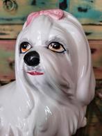 Hollywood Regency/Beeld/Malteser, Ophalen of Verzenden, Zo goed als nieuw, Dier