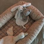 Babynestje Konges Slojd, Kinderen en Baby's, Babywiegjes en Ledikanten, Ophalen of Verzenden, Zo goed als nieuw, Overige typen