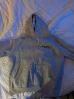 essentials hoodie, Ophalen of Verzenden, Zo goed als nieuw, Minder dan 15 m²